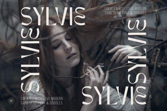 How Sylvie Font Became the Secret Weapon in Our Campaign Design Workflow
