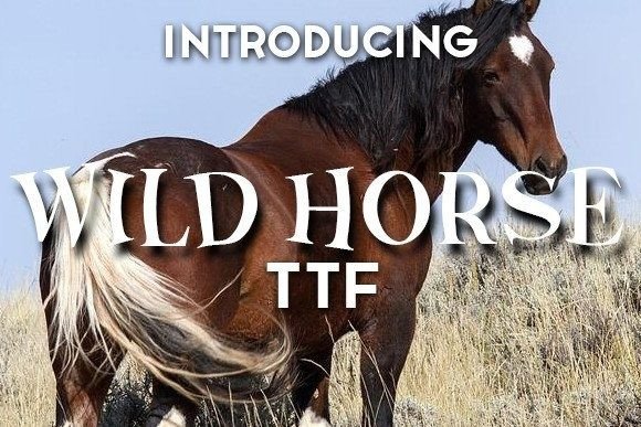 Wild Horse: A Bold Display Font for Dynamic Editorial Design
